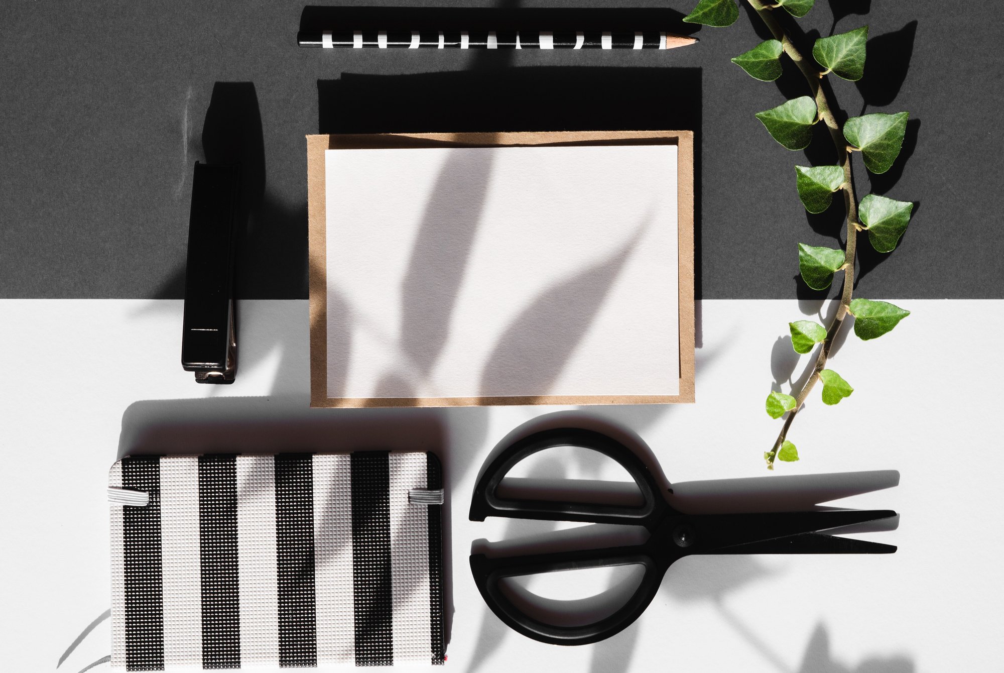organized-workbench-black-white-background-with-leaf-branch